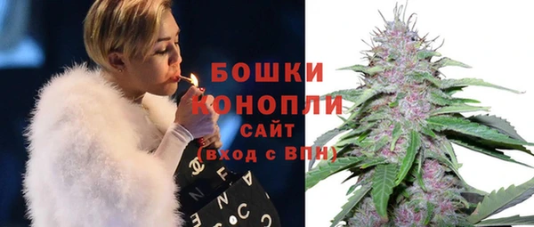 spice Арсеньев
