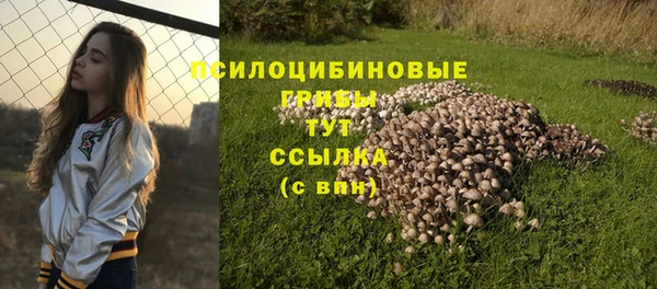 герыч Аркадак