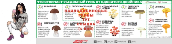 spice Арсеньев