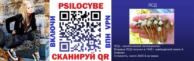 Галлюциногенные грибы Psilocybe  Похвистнево 